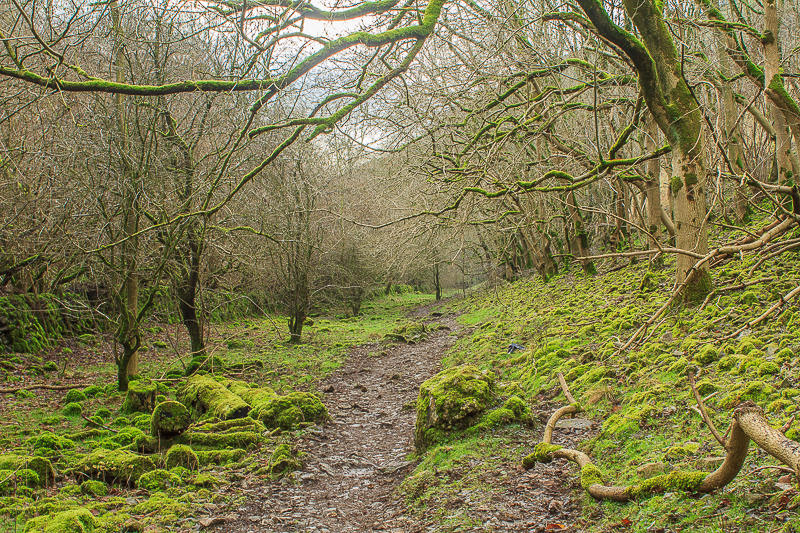 Biggin Dale Biggin Dale